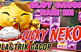 Lucky Neko Maxwin Hari Ini 2024